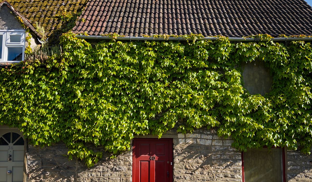 Storage solutions for narrow cottage stairways